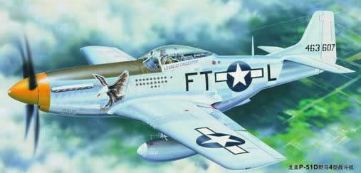 1/24 North American P-51D Mustang IV