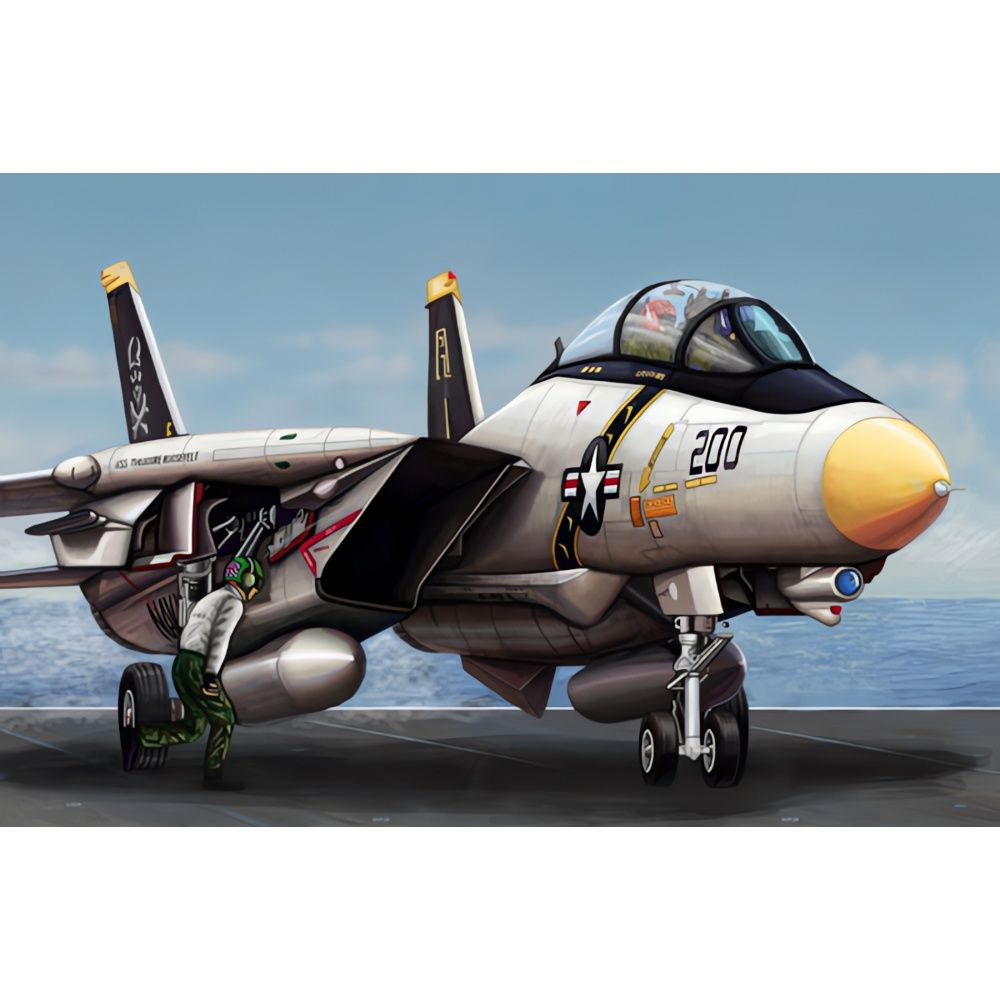 1/144 F-14 A Tomcat