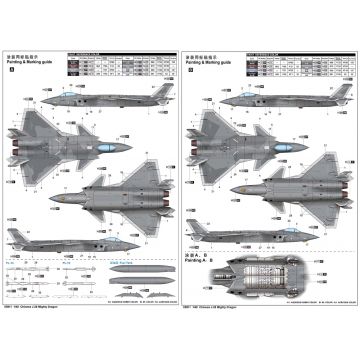 1/48 Chinese J-20 Mighty Dragon