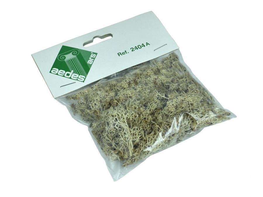 Musco Marron (Solgun Yeşil/Kahverengi Bitki) 25gr.