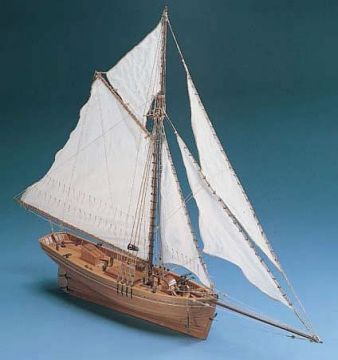 CORSM37   1/50 Shenandoah